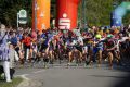 DSC09317.JPG