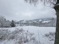 20250215_093254.jpg