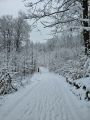 IMG-20250215-WA0051.jpg